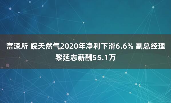 富深所 皖天然气2020年净利下滑6.6% 副总经理黎延志薪酬55.1万